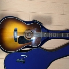 アコースティックギター MORRIS MF-205ts