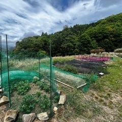 『体験型の村づくり🏕️』畑、自然農、村づくりに興味のある方仲良く...