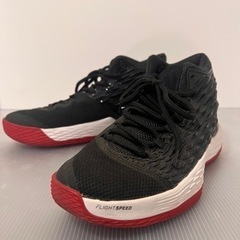 【超美品】25.0cm Nike Jordan Melo M13...