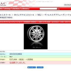 絶版 19インチ MLJ WREST WD-4 ディッシュ