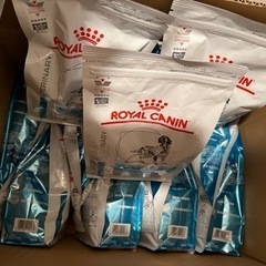 ロイヤルカナン セレクトスキンケア 1kg×11袋　未開封