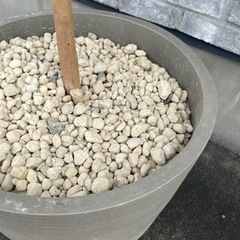 観葉植物 フェイクグリーン