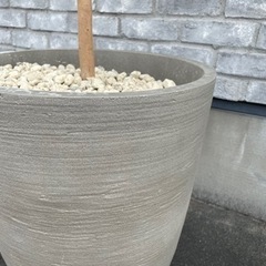 観葉植物 フェイクグリーン