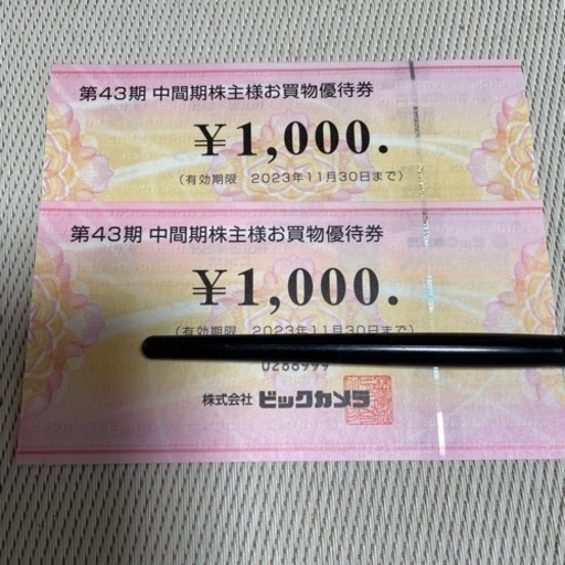 ビックカメラ 株主優待券 www.inversionesczhn.com