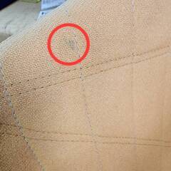 【愛品倶楽部柏店】リーン・ロゼ ligne roset 1Pソファー