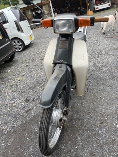 バーディー50