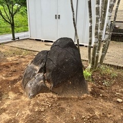 岩・石・巨石・筑波石／ガーデニング／庭づくり