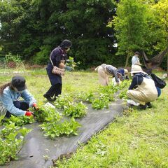 広い空の下で、藍の生葉染め体験【人気の庭園＆カフェ立小路でのランチ付！】残4名！ − 神奈川県