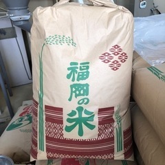 【ネット決済】上内米玄米30キロ