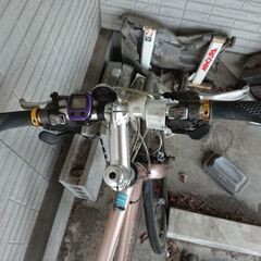 Giant ESCAPE maxxis Detonator