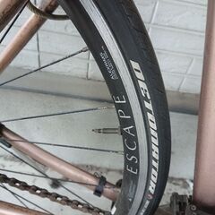 Giant ESCAPE maxxis Detonator