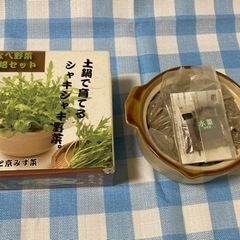 【無料】土鍋 野菜栽培セット