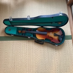 バイオリン　状態不明