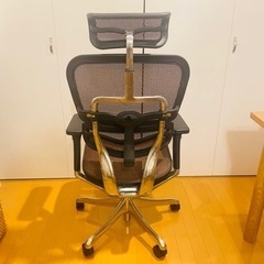 週末限定値下【極美品】エルゴヒューマンプロ