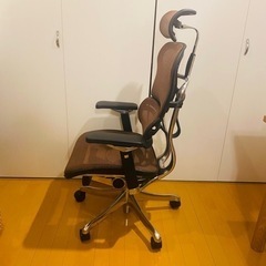 週末限定値下【極美品】エルゴヒューマンプロ