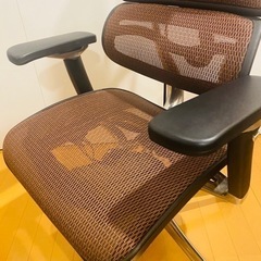 週末限定値下【極美品】エルゴヒューマンプロ