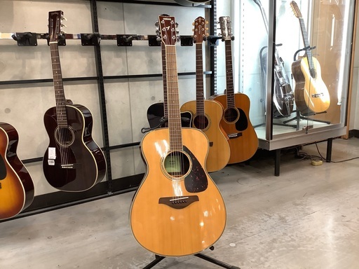 YAMAHA アコースティックギター　ご紹介します！