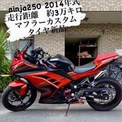 【ネット決済】ninja250