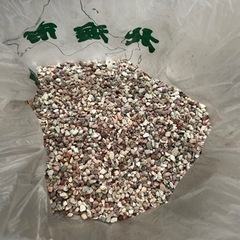 金魚 砂利