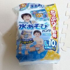 男の子用水遊びパンツＬ９枚