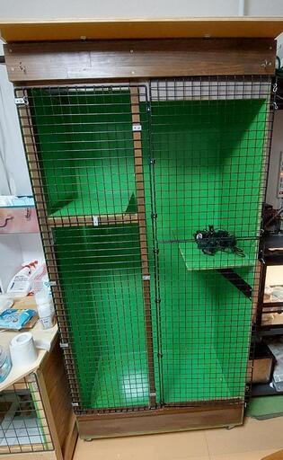 イグアナ自作の飼育ケージ　オマケ付き