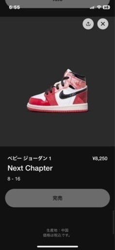エアジョーダン1 NEXTchapter キッズ