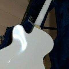GUILD/A-150 Sa GRETSCH　White Falcontype
