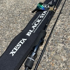 ブラックスター セカンドジェネレーション S83 ディスタンススケープ