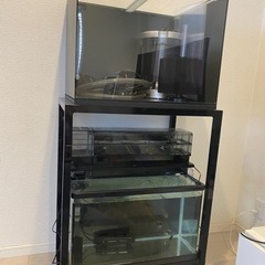 600×450×450 4面ブラック アクリル水槽 セット 引取り限定