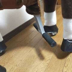 ラングスジャパン 馬の乗り物(プレゼント5000円分付き)