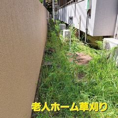 北九州市内の皆様～家の庭の草刈り等御座いませんか？御相談下…