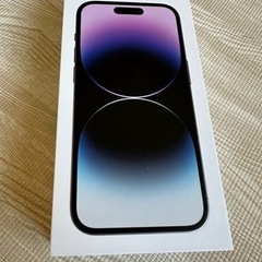 【本体なし】iPhone14Pro 箱、タイプCケーブル