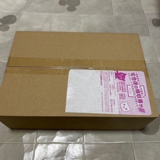 完全未開封！YU NAGABA×ポケモンカードゲームイーブイズスペシャルBOX