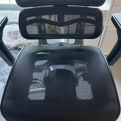 エルゴヒューマンベーシック 2年程使用 中古