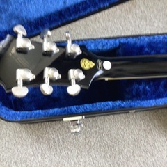 Epiphone Ubukata ES-355  生形真一 シグネチャー