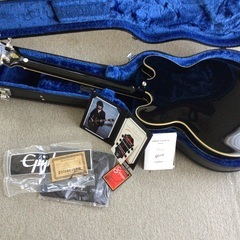 Epiphone Ubukata ES-355  生形真一 シグネチャー