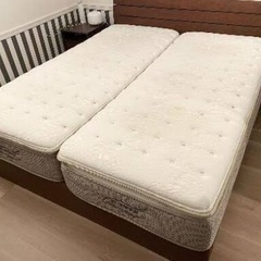 Nスリーブ　ラグジュアリー　L1 MF ニトリ　クイーンサイズ