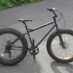 極美品 キャノンデール キッズ 自転車 子ども
