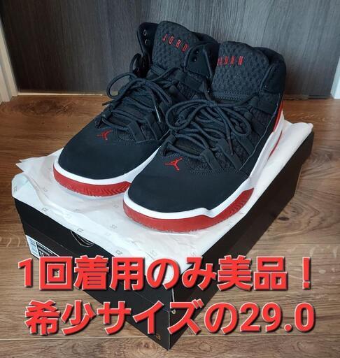 NIKE　エアジョーダン　マックスオーラ　29.0cm