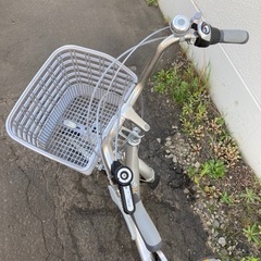 Natural flow ナチュラルフロー 3段階変速 大人三輪車 シルバー