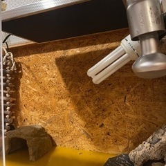 爬虫類ケージ　大型 爬虫類ケージ 飼育セット 大型