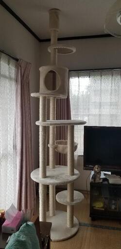 猫用品、出品します　単品でもいいですよ