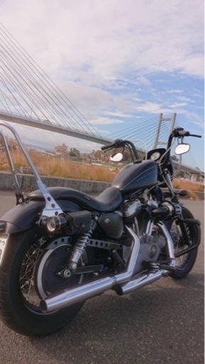 ハーレーダビッドソン 2008年モデル ナイトスタ1200車検有り