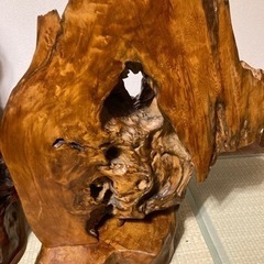 屋久杉　油瘤オブジェ