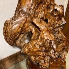 屋久杉　油瘤オブジェ