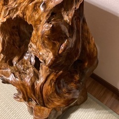 屋久杉　油瘤オブジェ