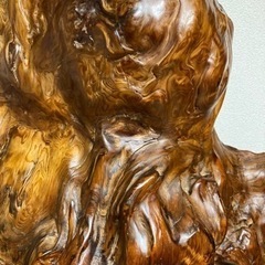 屋久杉 特大オブジェ