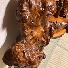 屋久杉 特大オブジェ