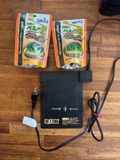 ベルツノガエル スーパーレッド 【水槽・ヒーター付き】