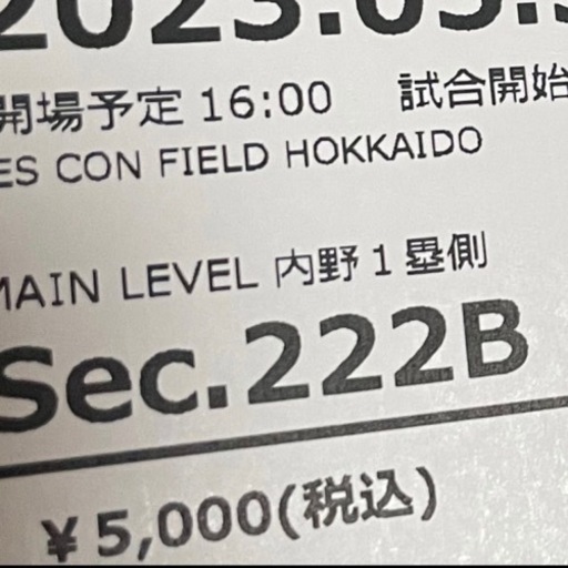 ファイターズ vs ヤクルト エスコンフィールド チケット 2枚 日本ハム ペア